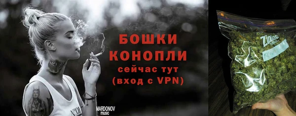 амф Щучье