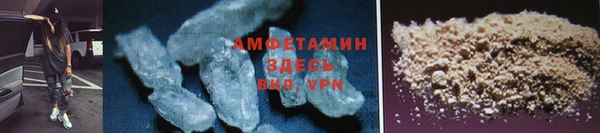 амф Щучье