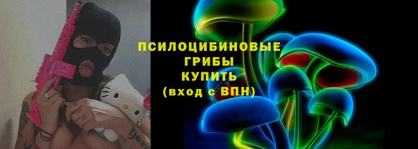 амф Щучье