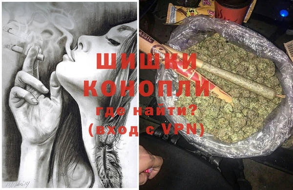 амф Щучье