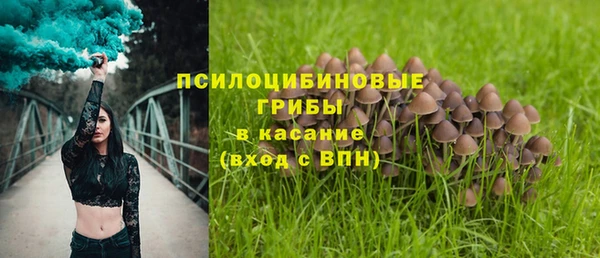 стафф Щёлкино