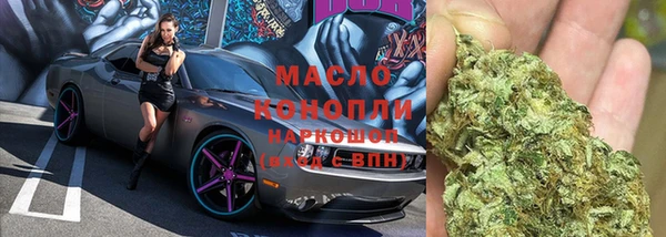 амф Щучье