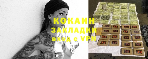 амф Щучье