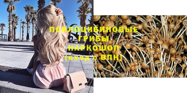 соль курить ск Кирсанов