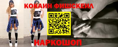 крисы Моздок