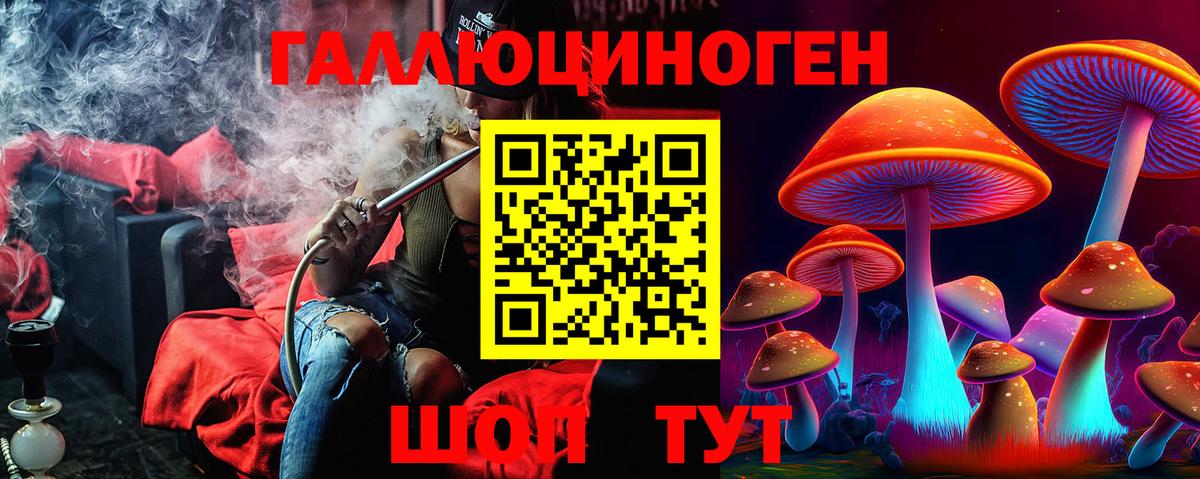 Борзя  Галлюциногенные грибы Psilocybine cubensis  Вход с VPN 