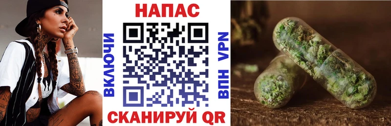 цена наркотик Борзя Бошки Шишки семена